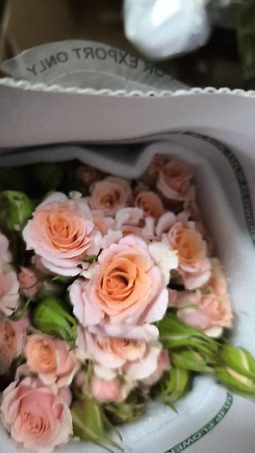 Сушилки: Роза 101 роза, 51 роза, 31 роза оптом и в розницу — 3