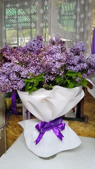 купить петунии: Сирень свежая букеты от 500сом — 5