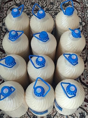 sultan chai: Алайдын таза кымызы — 2