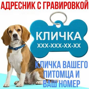 купить домашних животных: Адресник - это универсальный жетон, который содержит информацию о — 1