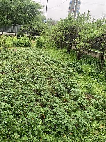 с прдселением: Продам два участка,на одном жилой дом,на втором участке дом под — 9