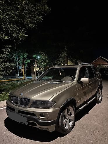 портер авто: BMW X5: 2004 г., 4.4 л, Автомат, Бензин, Кроссовер — 1