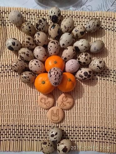 мороженный апарат: Перепелиные яйца - Натуральные перепелиные яйца с характерной — 1