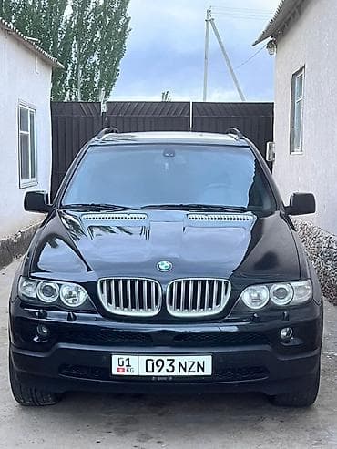 BMW: BMW X5: 2004 г., 4.4 л, Автомат, Бензин, Внедорожник — 2