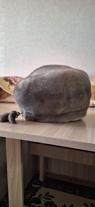 Спецодежда: Норка шапка сатылат, абалы сонун. көп кийилген жок.9/10 — 2