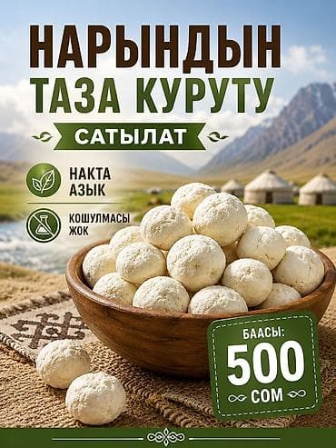 живой форел: Нарынский курут (сухие шарики из кисломолочного продукта) - — 1