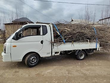 elgrand e51: Заказать Хендай портер, Вывоз строй мусора, C грузчиком — 1