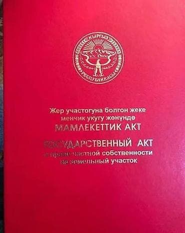Жер тилкелери: 4 соток, Курулуш, Кызыл китеп, Техпаспорт — 1