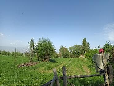 токмок дом аренда: 200 соток, Бизнес үчүн, Кызыл китеп — 7