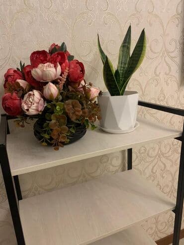 полка для фруктов и овощей: Этажерка универсальная Стеллаж Полка универсальная Для микроволновки — 5