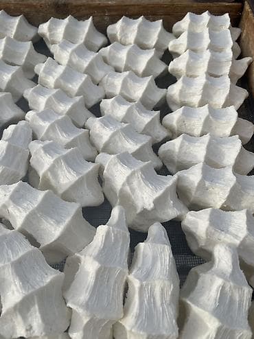 сыр голландский цена: ДААМДУ КУРУТ ОПТОМ СААТАБЫЗ. Любой формада жазап беребиз. 10 кг жана — 4