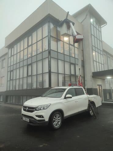 крыло гигант: Стрела 12 м, 200 т — 4