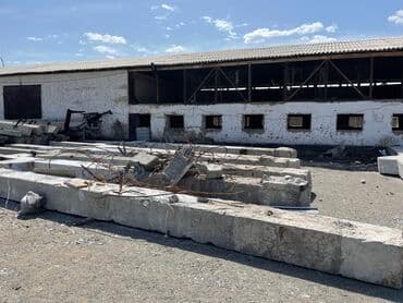 стол маммут: Автокран — 3