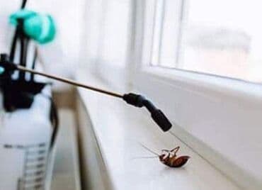 каркасные дома проекты и цены бишкек: Уничтожения клоповДезинфекция!!!любой сложности (*❛‿❛)→Приемлемая — 18