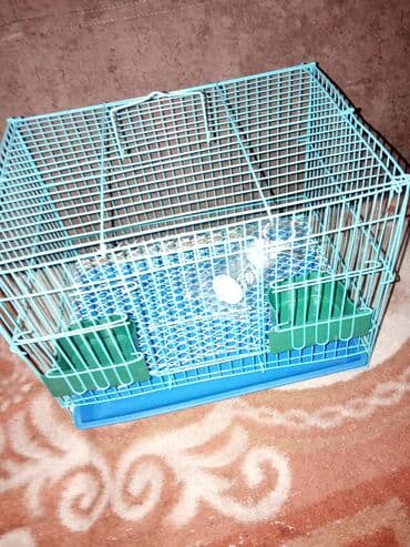 переноски для кошек бишкек: Клетка для хомяка или свинки. Новая. Также в наличии хомяки: сирийцы — 3