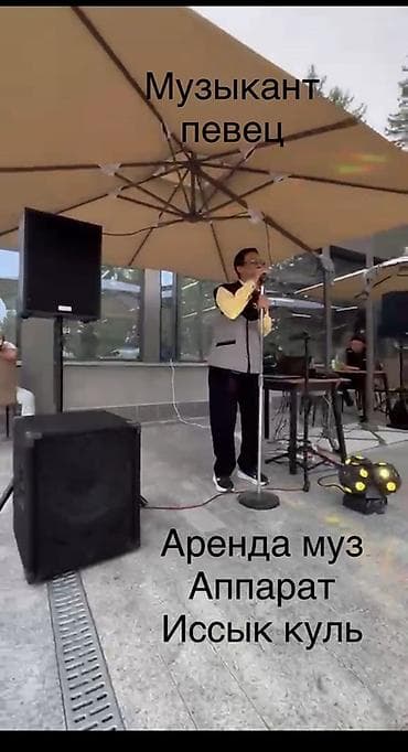 ремонт алисы: Организация мероприятий | Музыканты, Певцы — 1
