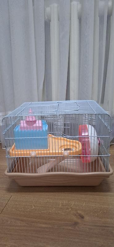 Кемирүүчүлөр: Клетка для хомяка/крысы б/у 36x27 — 2