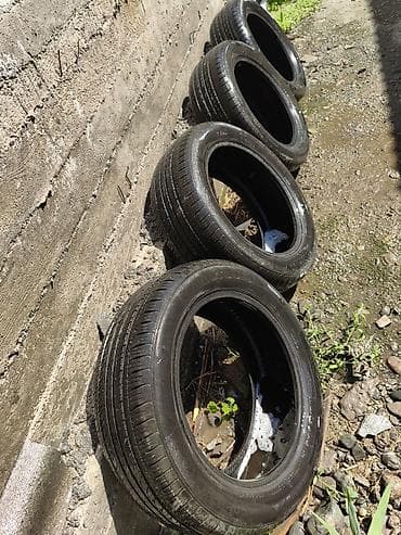 Летние шины 205/55 R16

- Размер: 205/55 R16
В комплекте 4 шины