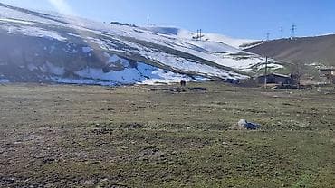 жер сатылат сосновка: 25 соток, Курулуш, Сатып алуу-сатуу келишими — 10