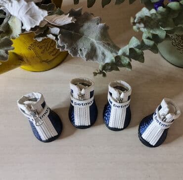 вольеры для собак бу: Новая обувь на собаку мелкой породы. размер и замер внимательно — 1