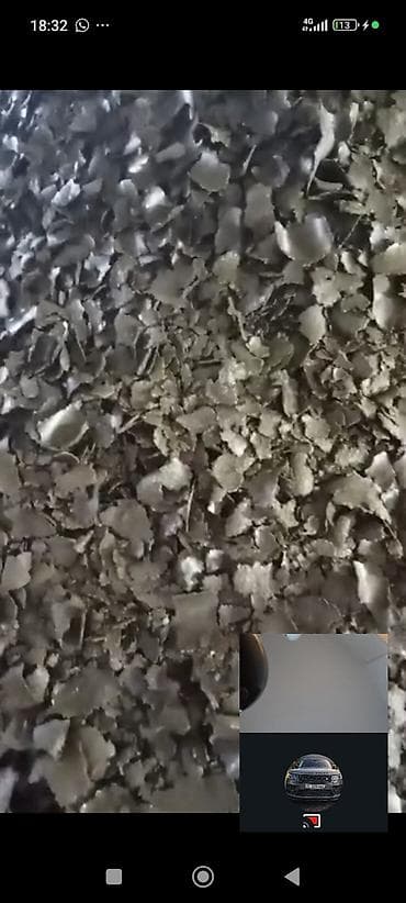 цыплята бролеры: Корма и компоненты для животноводства - Пшеница фуражная — чистое — 3