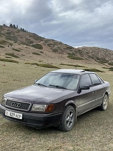 поджера спорт: Audi 100: 1992 г., 2.3 л, Седан — 4