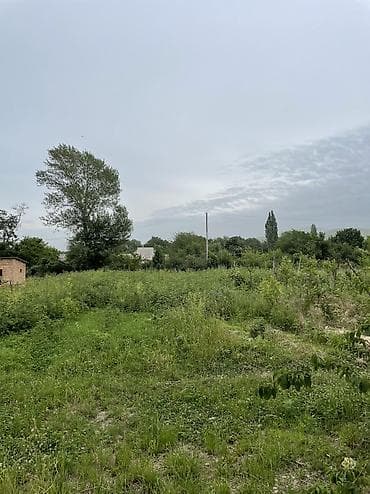 10 соток, Айыл чарба үчүн, Кызыл китеп — 3