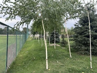 земельный дом ош: 180 м², 6 комнат, Утепленный, Бронированные двери, Видеонаблюдение — 18