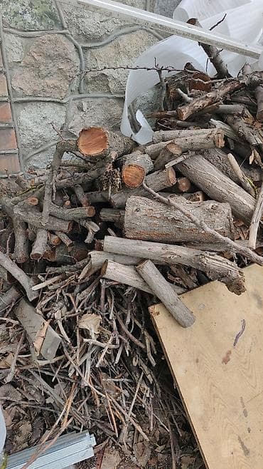 Дрова Самовывоз