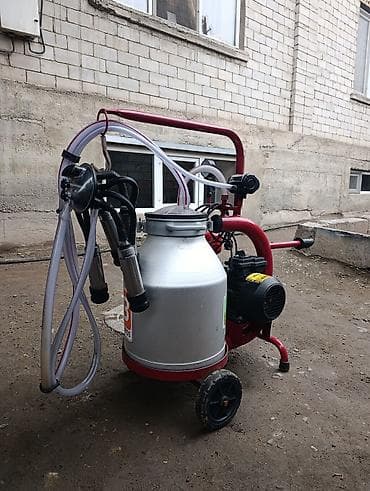 купить ломан браун: Продаю в идеальнейшем состоянии турецкий доильный аппарат для коров — 3