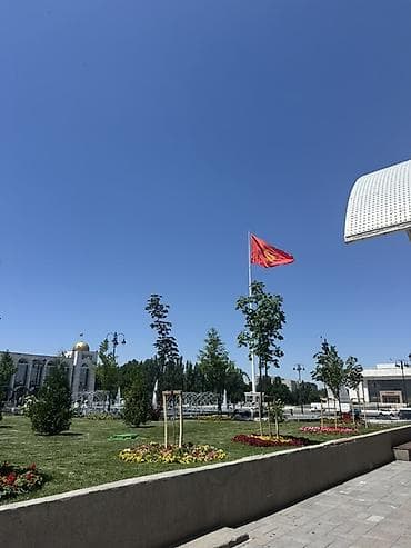 озеленение бишкек: В самом центре кв по суточно сдается — 1