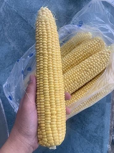 кукурузная: Кукуруза Оптом, В розницу, Самовывоз — 1