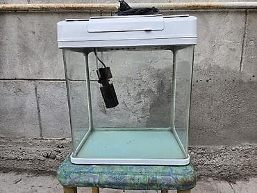 круглые аквариумы: Продаю два аквариума. 1.Советский круглый аквариум с подставкой - 2500 — 1