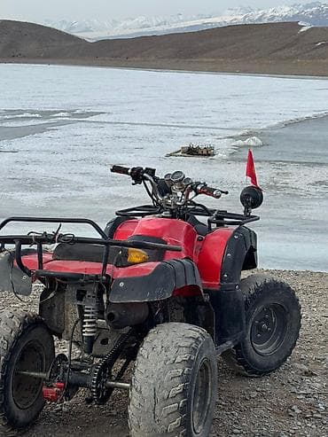 танк 500: Квадроцикл Бензин, 200 куб. см, Взрослый — 2