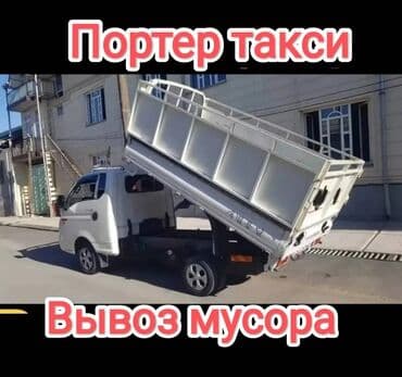 саженцы березы бишкек: Заказать Хендай портер, Вывоз строй мусора, C грузчиком — 2