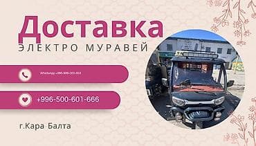 xeon e3: Доставка на электрокаре «Электро Муравей» - Услуги адресной доставки — 1