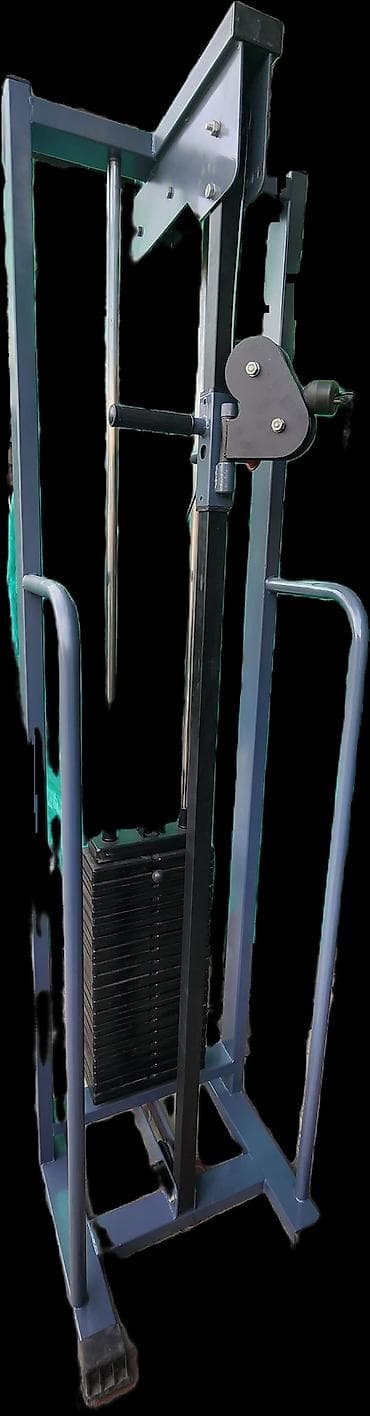 Тренажёр бубновского 
бубновский
стэк 100 кг