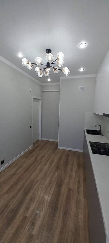 house: 1 комната, 45 м², Элитка, 10 этаж, Евроремонт — 3