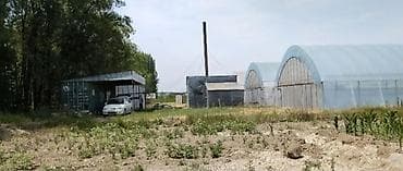 подсобный хозяйства: 300 соток, Для бизнеса, Тех паспорт — 3