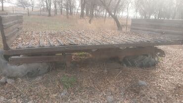 мтз 95 2: Прицеп, Бортовой, до 3,5 т, Б/у — 2