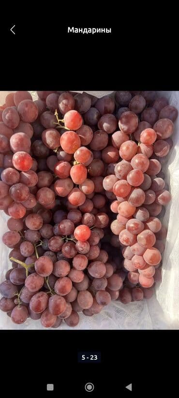 Мандарины Оптом