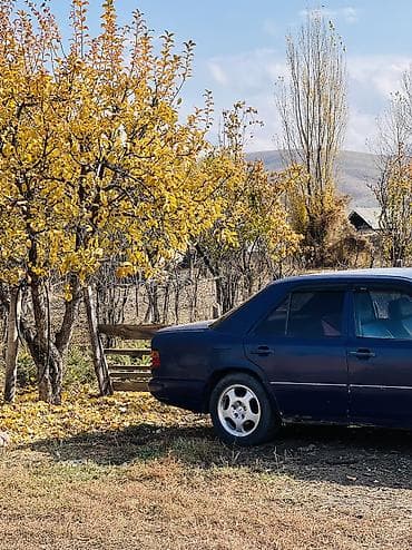 k3 ve: Mercedes-Benz W124: 1988 г., 2 л, Механика, Бензин, Седан — 5