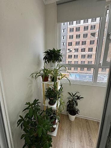 Продажа квартир: 3 комнаты, 94 м², Элитка, 2 этаж, Евроремонт — 3