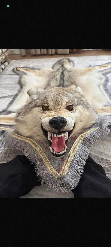 кийиз чокой: Килем — 4