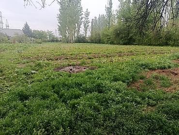 18: 18 соток, Для строительства, Красная книга — 3