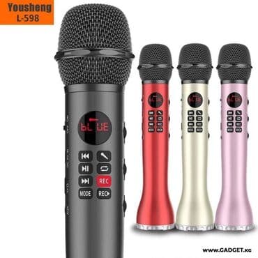 акустические системы cooldog с микрофоном: Микрофон Lewinner L-598 - незаменимый аксессуар для ярких и веселых — 2
