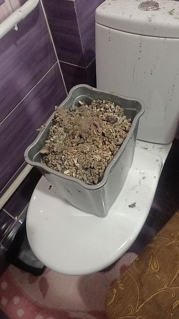 отопления бишкек: Чистка водонагревателей Ремонт Комплексное обслуживание Установка — 6