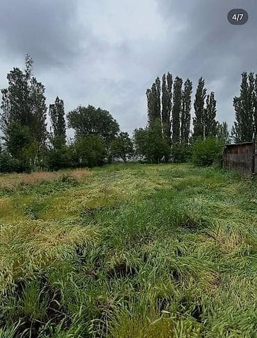 дачный участок: Продаётся земельный участок с жилым домом и хозяйственными — 2