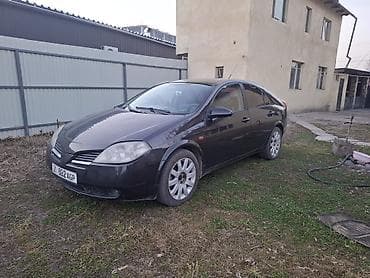 infiniti g: Nissan Primera: 2003 г., 1.9 л, Механика, Дизель, Хэтчбэк — 1
