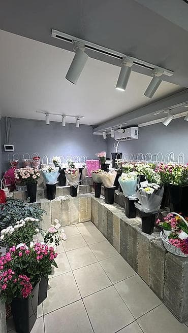 ветеринарный магазин: Продажа магазинов В бизнес-центре, 40 м², Свежий ремонт, Отдельный вход, Цокольный этаж этаж — 5